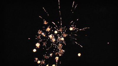 #15345 Cakes 0.8 19 shots