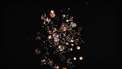 #15345 Cakes 0.8 19 shots