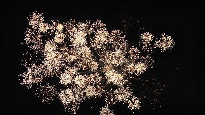 #19085 Cakes 1.2 25 shots