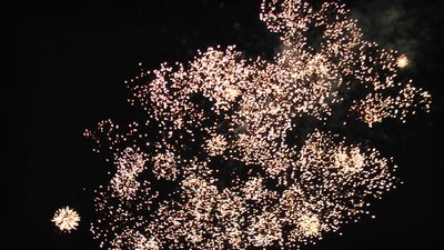 #21106 Compact 1.2 25 coups