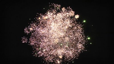 #25299 盆花1.2 24发数