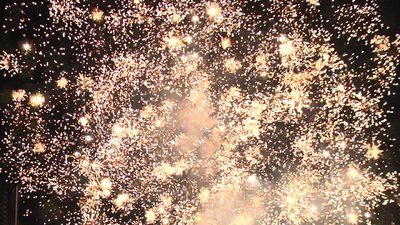 #15408 盆花1.2 100发数