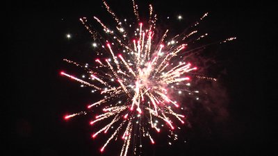 #14447 Module Cakes 1.0 19 shots