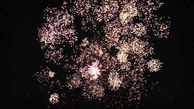 #19085 Cakes 1.2 25 shots