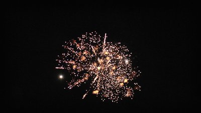 #25310 Tortas 1.2 16 tiros