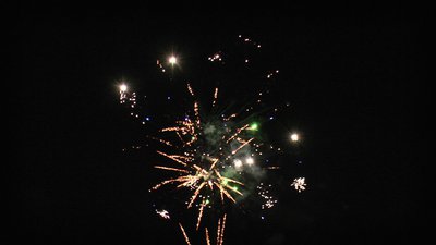 #25339 Cakes 0.8 25 shots