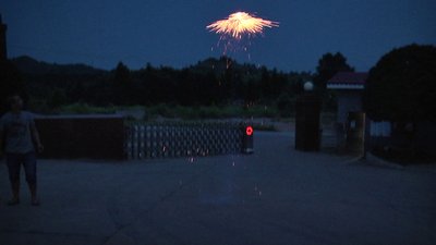 #20486 Sunflower(small)