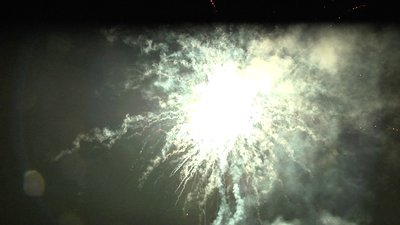 #15193 盆花1.2 25发数