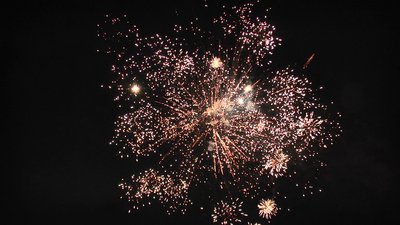 #25329 盆花1.0 19发数