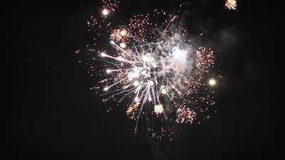 #25327 盆花1.0 19发数