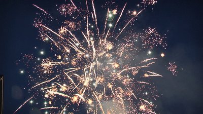 #21497 Compact 1.0 49 coups