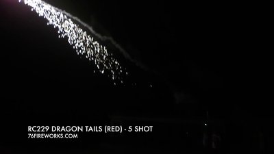 #21537 罗马烛光 0.8" 5 发数