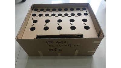 #15553 Fountains 5.0m, 300s (Fuse)