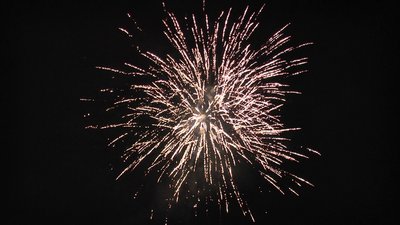 #19033 Compact 1.2 120 coups