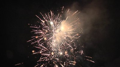 #17239 Cakes 0.8 64 shots