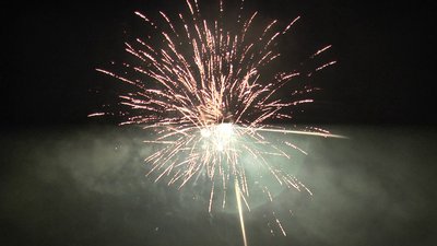 #15362 盆花1.0 100发数