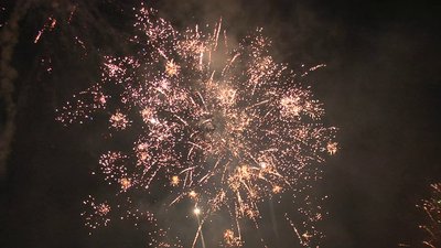 #25338 Cakes 0.8 36 shots