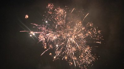 #25337 盆花0.8 36发数