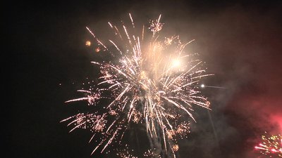 #25332 盆花0.8 100发数