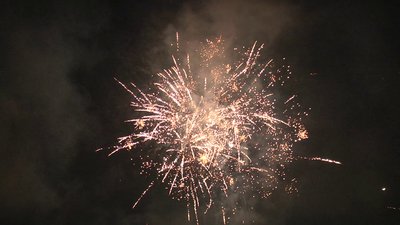 #25336 Cakes 0.8 36 shots