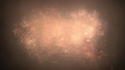 #15120 盆花1.2 138发数