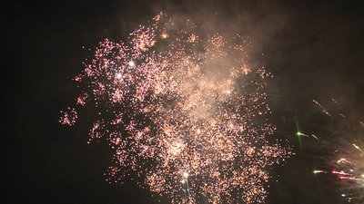 #25335 盆花0.8 36发数