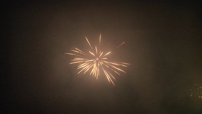 #20669 Festival shells 2.0" 6 balls