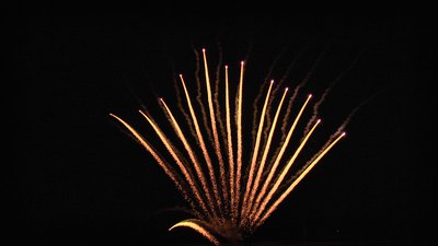 #22223 Tir à répétition 1.2" 13 coups