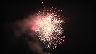 #22219 Compact 1.2 98 coups