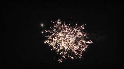 #25330 盆花1.0 16发数