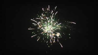 #20584 盆花1.2 36发数