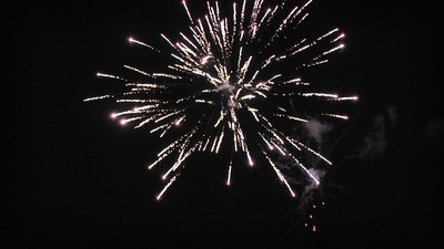 #22622 盆花15x1.0"/15x1.2"/3x1.5" 33发数