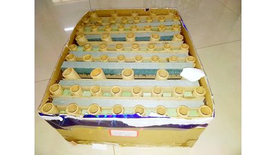 #22645 Cakes 48x0.8"/15x1.0" 63 shots