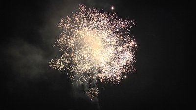 #22721 盆花1.2 19发数