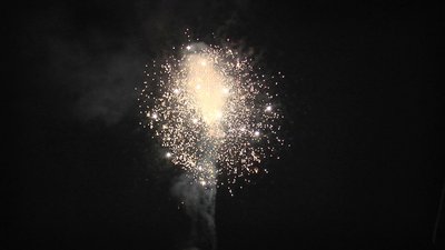 #22722 盆花1.2 25发数