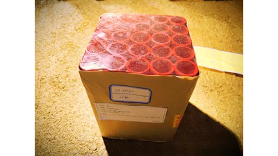 #22722 盆花1.2 25发数