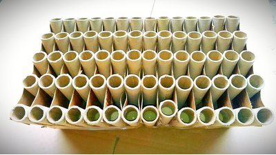 #22770 Compact 1.0 70 coups