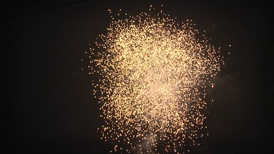 #15183 盆花1.0 36发数