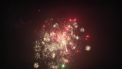 #15445 盆花1.0 145发数