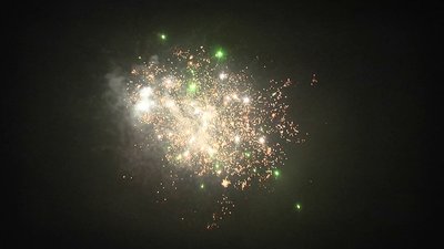 #15244 盆花1.0 16发数