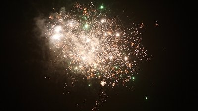 #15244 盆花1.0 16发数