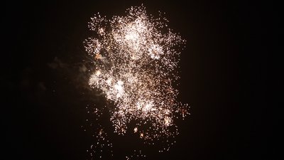 #25136 盆花0.8 16发数