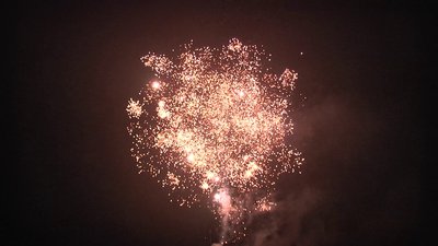 #4116 盆花0.8 138发数