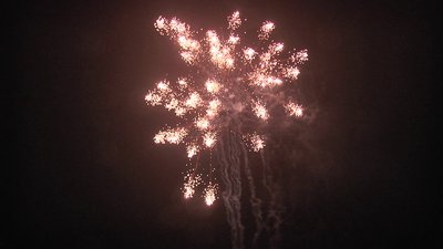 #14890 盆花1.0 49发数