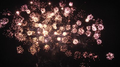 #23305 Cakes 0.8 390 shots