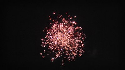 #15284 盆花1.2 100发数