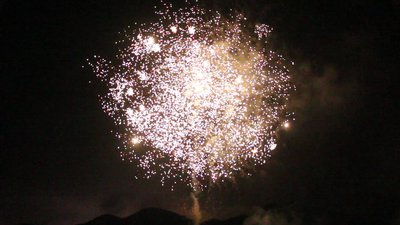 #15608 Cakes 124x1.0"/240x1.2" 364 shots