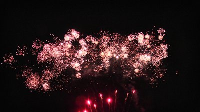 #23337 盆花0.8 380发数