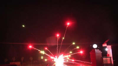 #21449 UFO + golden comet with double multicolor peony