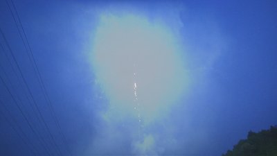 #14786 盆花1.2 37发数